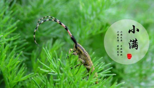 上?？婆d儀器